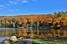 Lakeside Lodge at Fern Lake: 3BR/1BA Waterfront w/ Dock - Image 3
