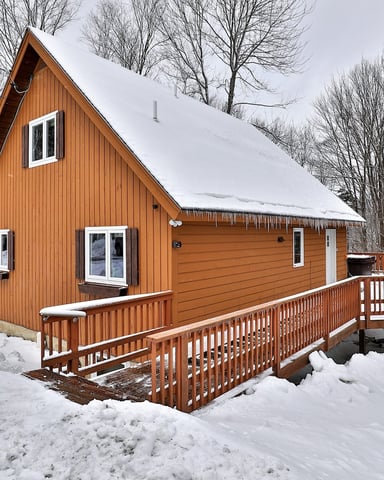 Green Vermont cabin exterior surrounded by trees