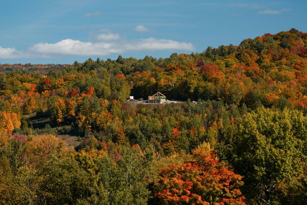What Fall Feels Like