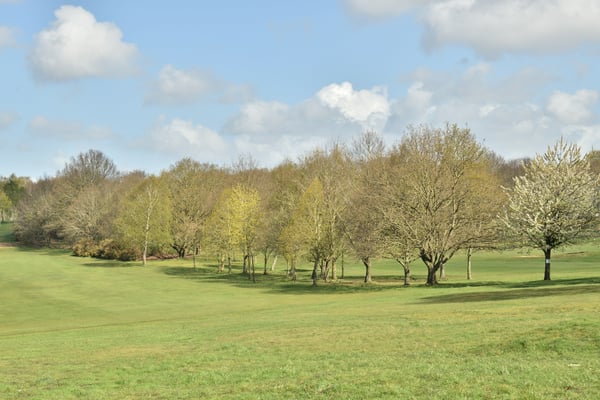 Neshobe Golf Club