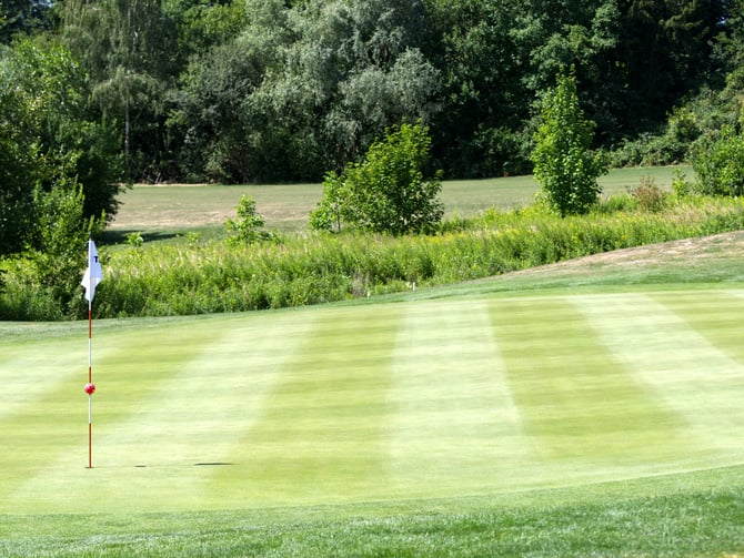 Rutland Country Club