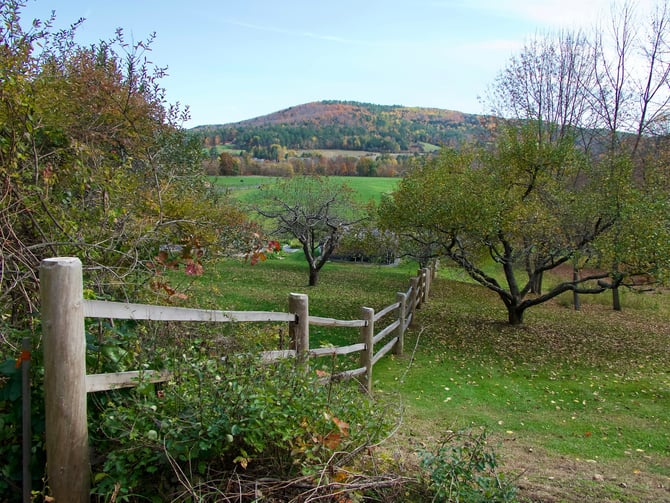 Mendon Mountain Orchards