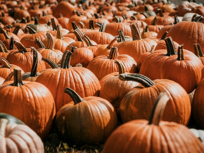 Killington Harvest Faire