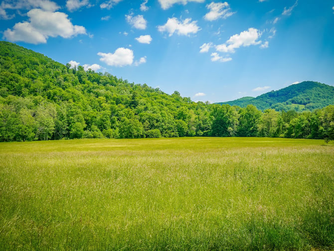 Vermont Mountain Bike Association