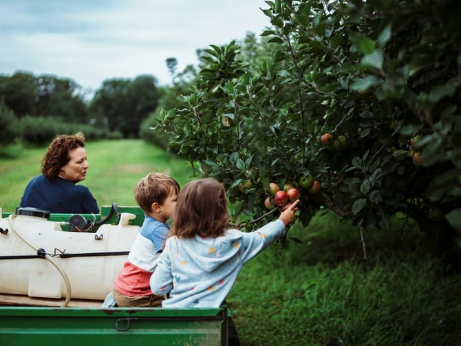 Wellwood Orchards