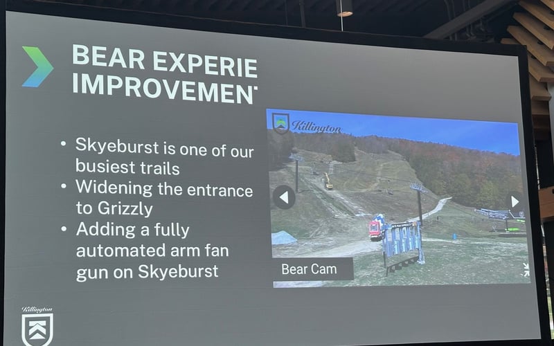 Bear Experience Improvements: widening entrance to Grizzly, automated arm fan gun on Skyeburst